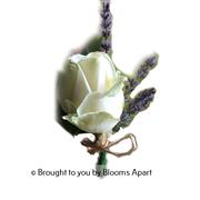 White Rose with Lavender