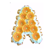 Highlight Letters - With Gerberas
