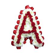 Highlight Letters - With Carnations