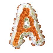 Highlight Letters -  with Chrysanthemums