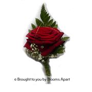 Red rose with Gyp and Diamante