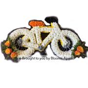 Bicycle Tribute