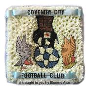 Coventry City Football Club Logo Tribute