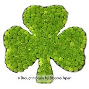 Shamrock Floral tribute