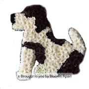 Sitting Dog Tribute