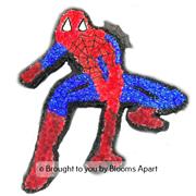 Spider Man Tribute