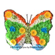 Butterfly Tribute 1