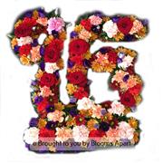 Ek Onkar - Mixed Flowers