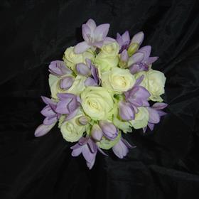 fwthumbDSC04125.jpg