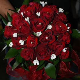 fwthumbRedRoseStephos.jpg