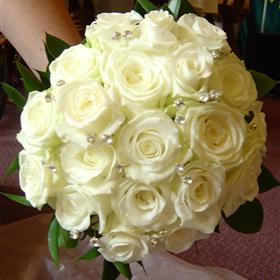 fwthumbRoseDiamantes.jpg