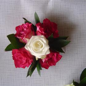 fwthumbDSC04158.jpg