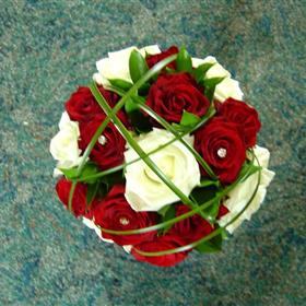 fwthumbDSC07690.jpg